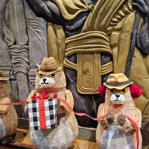 코나빈스 리뷰 사진