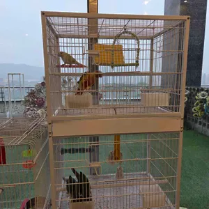 버드소리 리뷰 사진