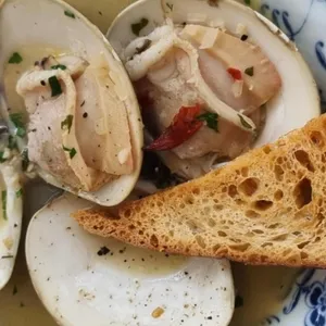 필리오 사진