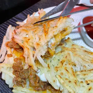 사족보행 사진