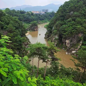 리버포레스트카페&해오름가든 리뷰 사진