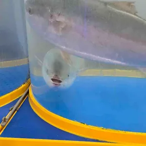 팔팔어시장 리뷰 사진