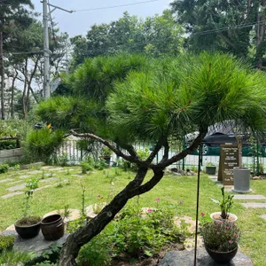 윈썸35 대표 사진