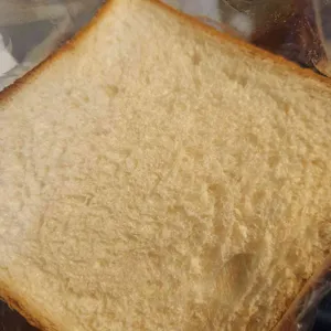 쁘숑 사진