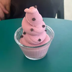 아트메이저 사진