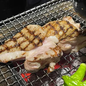 청계 사진