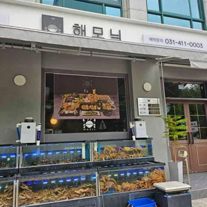 해모닉 대게 킹크랩 리뷰 사진