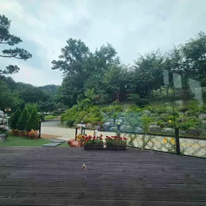 피노카페 리뷰 사진