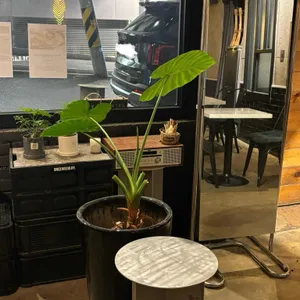 콜린스커피 사진 2