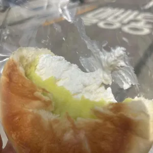 카멜리온 사진