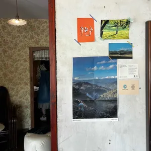 밀림슈퍼 리뷰 사진