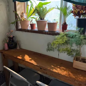 팟오브부산 리뷰 사진