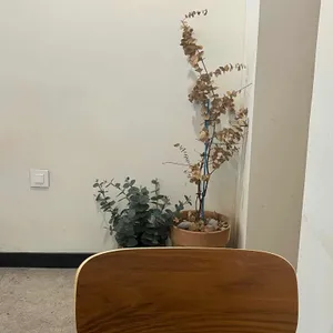 하삼동커피 리뷰 사진