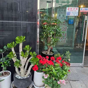 마전 소갈비살 리뷰 사진
