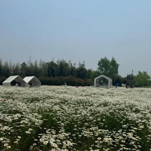 오늘여기 리뷰 사진