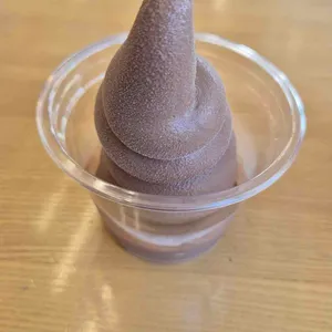 내류사 사진