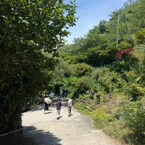 하우요 커피 리뷰 사진
