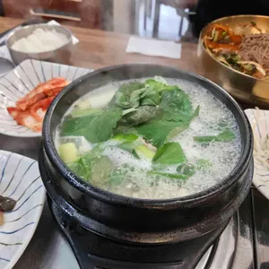 강고집 사진