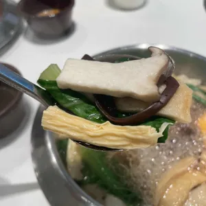 봄담아 사진
