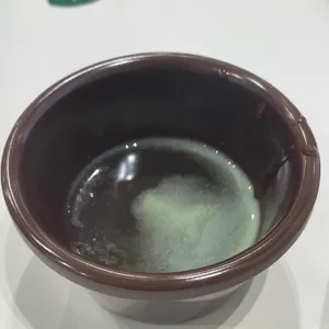 봄담아 사진