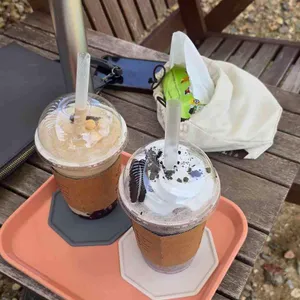 애견카페 댕그라운드 사진