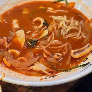매화 사진