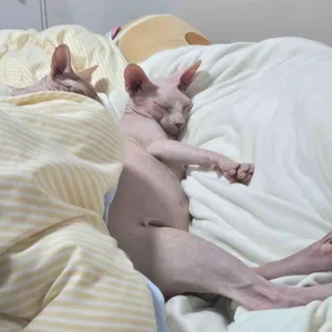 그린스위치카페 리뷰 사진