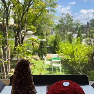 하이그라운드제빵소 대표 사진