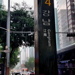 심가네칼국수 리뷰 사진