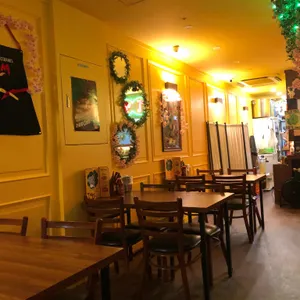 촉디 대표 사진