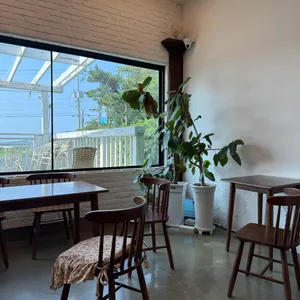 시선 리뷰 사진