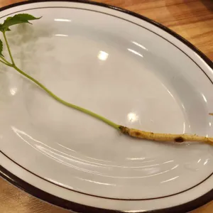 능이촌 사진