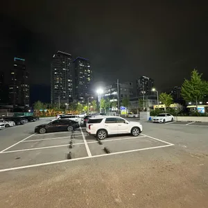샤브자작나무 리뷰 사진