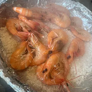 오이도조개92 사진