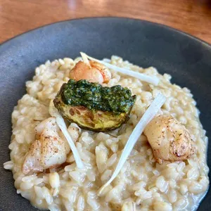센시 사진