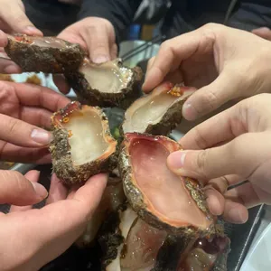 오징어풍경 사진