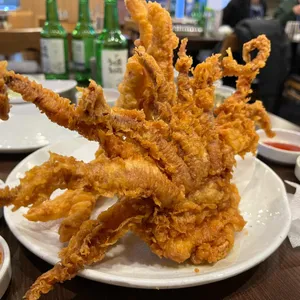 오징어풍경 사진