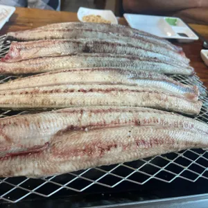 섬진강민물장어 사진