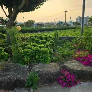 서우담 리뷰 사진
