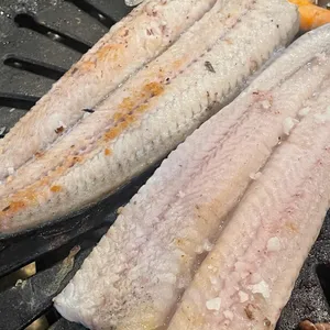 처음본명품민물장어 사진