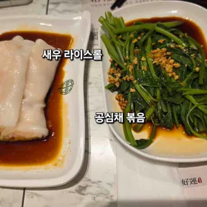 팀호완 사진