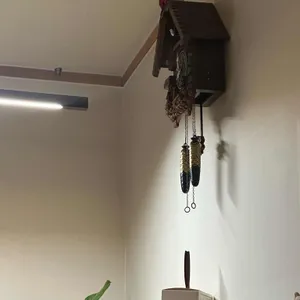 올디어 리뷰 사진