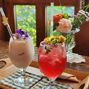 로즈스텔라정원 사진
