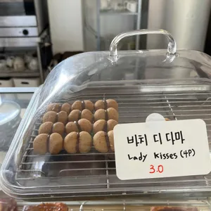 소프 사진