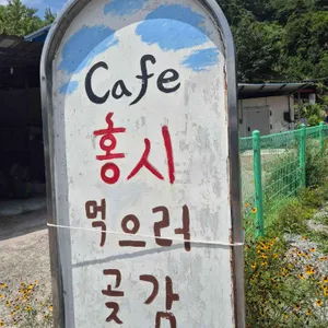 에덴 홍시먹으러곶감 리뷰 사진