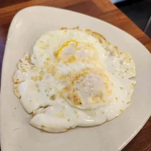 뻘건낙지 사진