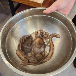 뻘건낙지 리뷰 사진