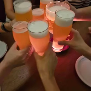 서울집시 퍼멘테리아 사진