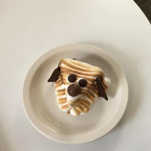 노버든 사진