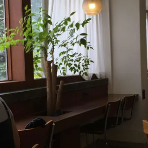 노버든 리뷰 사진